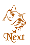 Next Cat, Noah