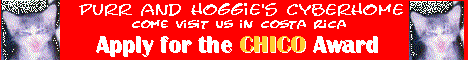 Purr & Hoggie's Cyberhome