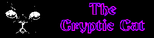 The Cryptic Cat