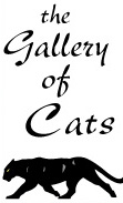Gallery of Cats