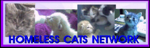 Homeless Cat Network