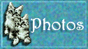 Photos of the Babies