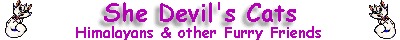 She Devil's Cats
