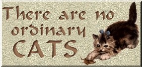 My Other Cats