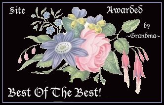 Best of the best Award