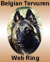 Belgian Tervuren Webring