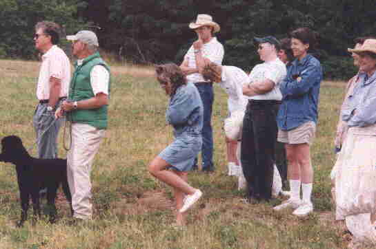 Spectators1.jpg
