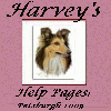 Visit Harvey & The Boys!