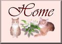 Back to Meow City!
