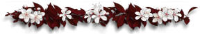 springbar