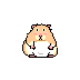 cute hammy