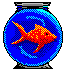 swimming fish
