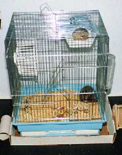 My cage!