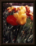 Thumbnail of Tulips