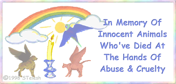 abusebanner.gif (20264 bytes)
