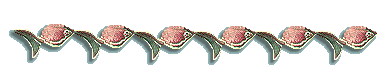 cfbar.gif (6033 bytes)