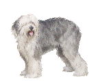 oesanim.gif (24753 bytes)