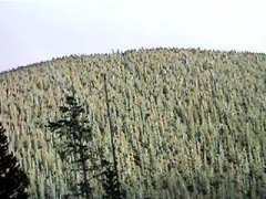 FJ_continental_divide.jpg (16228 bytes)