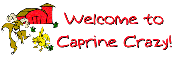 Logo Header