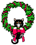 cat
hanging from wreath
