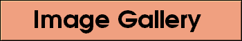 Image Gallery