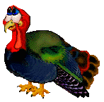 Hen Turkey