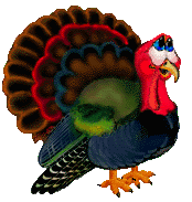 Tom Turkey