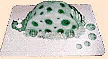 cakepic 6