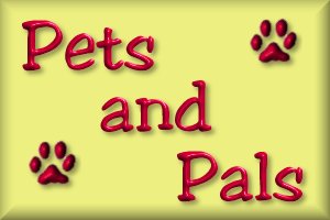 Pets and Pals