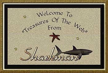Sharkmans gift