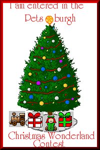 Petsburg Christmas Contest