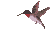 birdhuml.gif (2830 bytes)