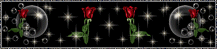 msbublehomepage4linkpg.gif (13567 bytes)