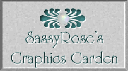 srlogo.gif (7476 bytes)