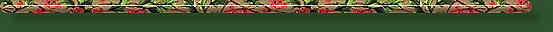 Horizontal Line