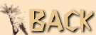 nat1bck.jpg (2487 bytes)