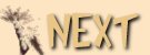 nat1nxt.jpg (2236 bytes)