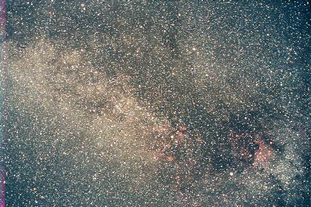 Cygnus