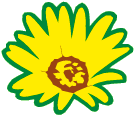 flower.gif