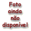 naodisp.gif (2580 bytes)