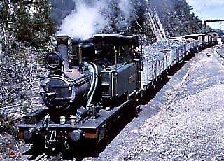 Abt No: 5 at Rinadeena