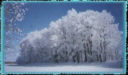 hoarfrost