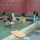 Take swim lessons.