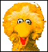 bigbird