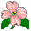 pkflwicn6.gif