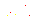 Firework.gif (1459 bytes)
