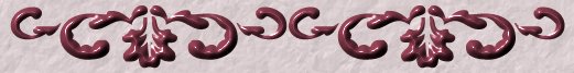 Divider Bar