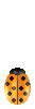 Ladybuganimated.gif (25020 bytes)