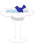 Bird Bath