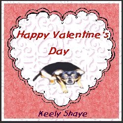 Valentine gift from Chilady - this is her dog who is expecting pups